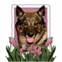 Dia das mães - tulipas cor-de-rosa - Vallhund Foto Escultura