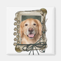 Dia dos pais - corona de pedra do golden retriever ima
