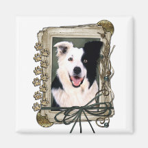 Dia dos pais - patas de pedra - border collie imas