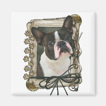 Dia dos pais - patas de pedra - Boston Terrier Imãs