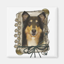 Dia dos pais - patas de pedra - Collie - Caroline Ima