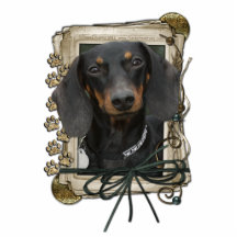 Dia dos pais - patas de pedra - Dachshund - Winsto Escultura De Fotos
