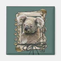 Dia dos pais - patas de pedra - Koala Imas De Geladeira