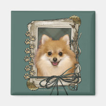 Dia dos pais - patas de pedra - Pomeranian Ima De Geladeira