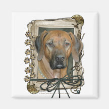 Dia dos pais - patas de pedra - Rhodesian Ridgebac Imãs De Refrigerador