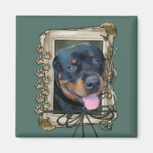 Dia dos pais - patas de pedra - Rottweiler - Harle Imãs