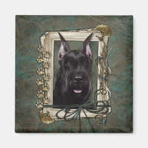 Dia dos pais - patas de pedra - Schnauzer Imãs
