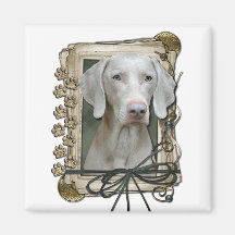 Dia dos pais - patas de pedra - Weimaraner