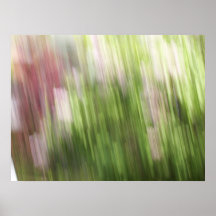 Dispersado Poster