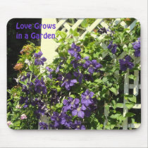 Dizer do jardim do Clematis roxo tapetes para ratos