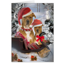 Do "cartões do trenó papai noel" de Pitbull