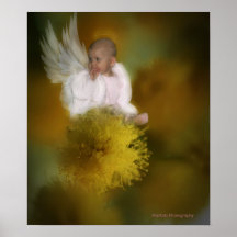 Do "impressão do anjo Wattle"