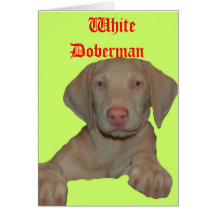 doberman branco cartão