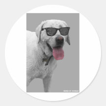 Dog_sunglasses.jpg Adesivo Redondo