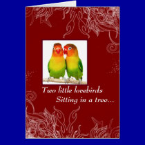 Dois Lovebirds pequenos postais