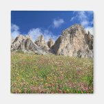 Dolomiti - prado florescido imãs