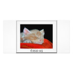 dorme adocicas meu gatinho cartões com foto personalizados