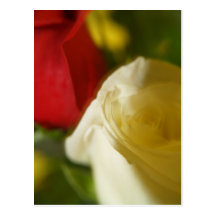 Dos "cartão carmesins e do creme" cartões postais