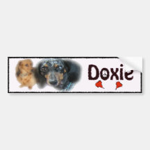 doxie adesivo