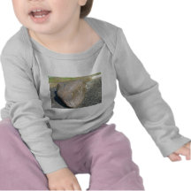 DSCN0824 CAMISETAS