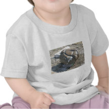 DSCN0864 CAMISETA