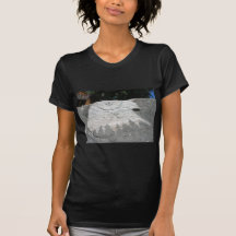 DSCN0979 TSHIRTS