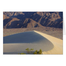 Dunas de areia cartões