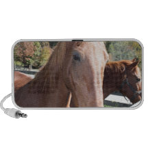 Duo do cavalo caixinhas de som para viagem
