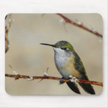 E nós voaremos… (Colibri) Mouse Pad