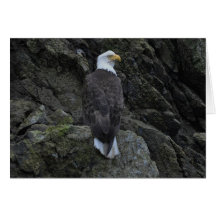 Eagle Cartões