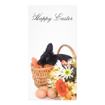 Easter Bunny Cartões Com Foto