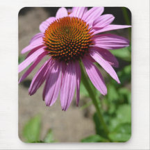 Echinacea Mousepad do entusiasmo