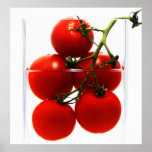 Educado vidas Abstractas de silencioso tomates no  Pôsteres