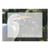 Egret branco texto backlit de florida que olha dir convites