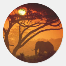 Elefante bonito do por do sol adesivo em formato redondo