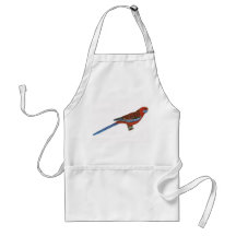 Elegans carmesins de Rosella - de Platycerus Aventais