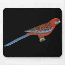 Elegans carmesins de Rosella - de Platycerus Mouse Pad