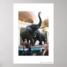 elephants2 poster