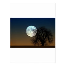Elevação da lua cartoes postais