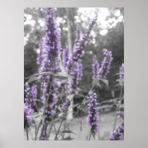 Embaçamento roxo posters