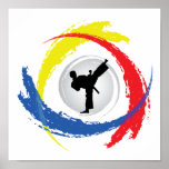 Emblema Tricolor do karaté Posteres