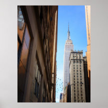 Empire State Building e pássaros, NYC, todos os ta Poster