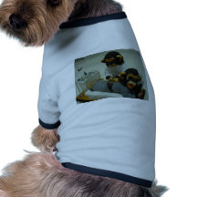 enfermeira roupas para caes
