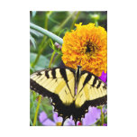 Envoltório das canvas do prazer da borboleta impressão de canvas envolvidas