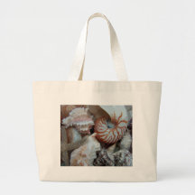 Escudos da praia de Florida Bolsas De Lona