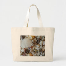 Escudos de Sanibel Bolsa Para Compra