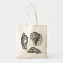 Escudos do mar bolsa para compra