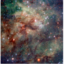 Espaço de Hubble da nebulosa do Tarantula Escultura Fotos