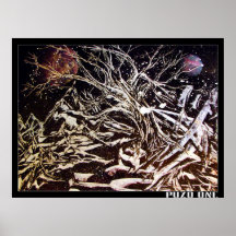 Espaço Gaia Posters