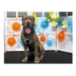 Espião - Mastiff de Neopolitan -3 Cartoes Postais